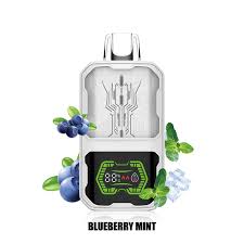 ELF WORLD 22000 BLUEBERRY MINT 5%